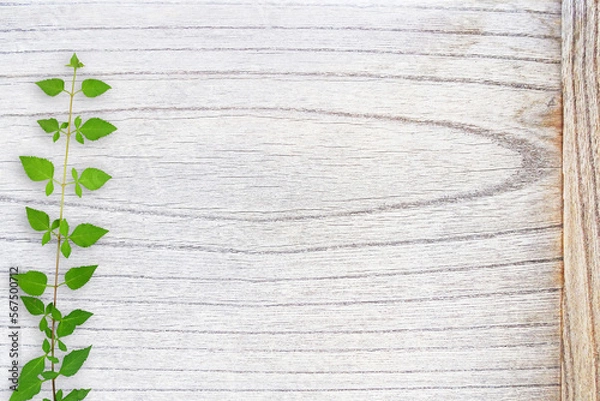 Obraz 木目背景とグリーン