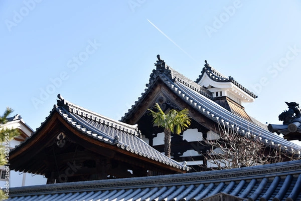 Obraz 妙心寺　龍泉菴　京都市右京区花園