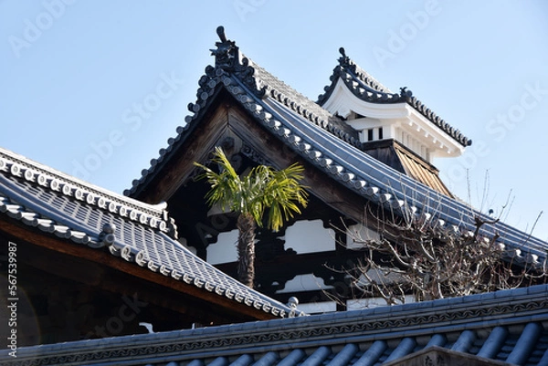 Obraz 妙心寺　龍泉菴　京都市右京区花園