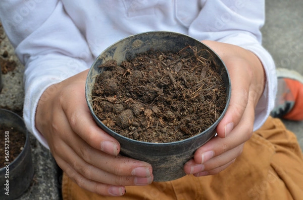Obraz Hand of child holding a pot full of soil. Gardening.Planting seeds.