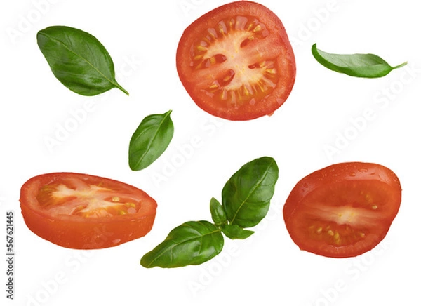 Obraz set of tomatoes and basil isolated png