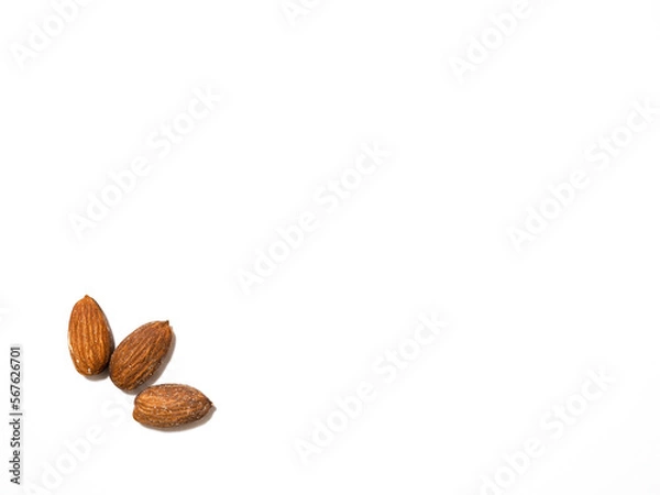 Obraz アーモンド