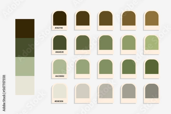 Fototapeta Dark green light gray color palette, nature colors catalog, colour matching, compatible color codes