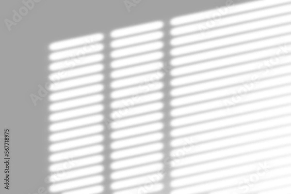 Fototapeta window shadow Tropical plant overlay element for portrait easy to use PNG