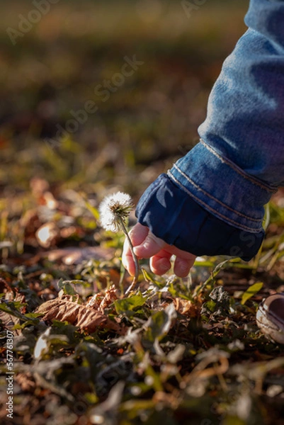 Fototapeta child hand 
