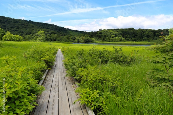 Fototapeta 八幡平の大沼