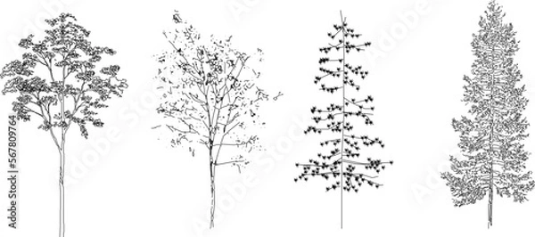 Fototapeta Cute minimalistic tree illustration vector sketch