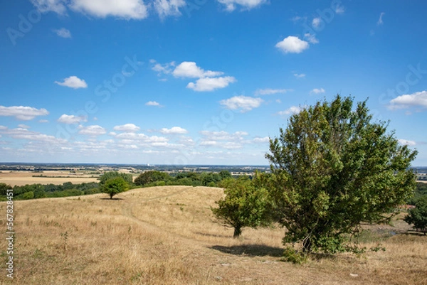 Fototapeta View from Skamlingsbanken, Skamlingsbanken is the highest point in Southern Jutland, 110 meters above sea level in Vejstrup parish between Kolding and Christiansfeld. Denmark, Europe
