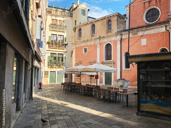 Fototapeta Courtyard in Venice. Container gardening in courtyard in Venice, Italy