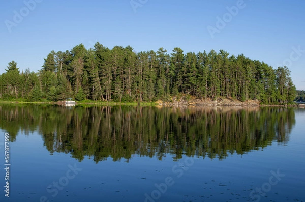 Obraz Forest reflected in calm lake water