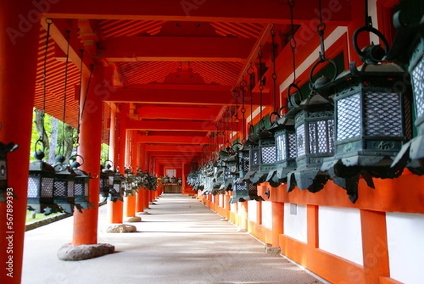 Fototapeta 春日大社・釣灯籠