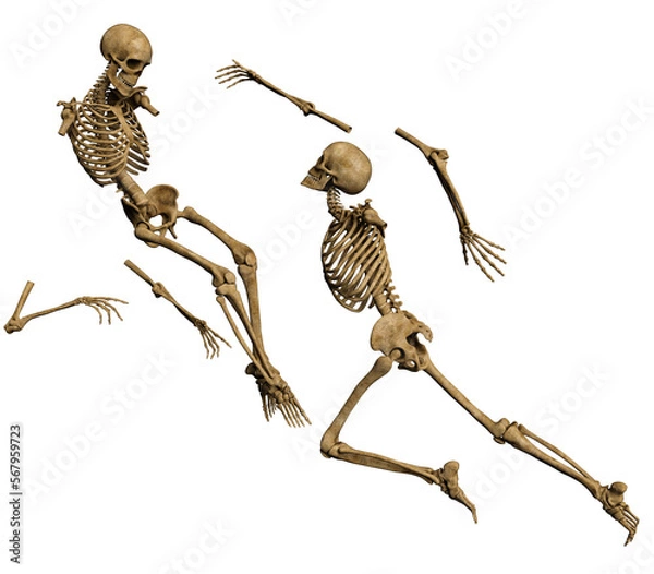 Obraz 3d render skeleton love pose