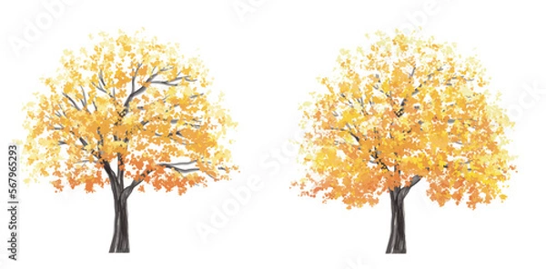 Obraz Vector watercolor blooming flower tree side view isolated on white background for landscape and architecture drawing, elements for environment and garden,botanical elements for section in autumn