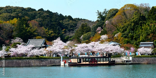 Obraz 桜の咲く春の瀬田川と石山寺界隈の風景、石山寺と瀬田川とクルーズ船、滋賀県大津市