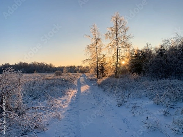 Fototapeta Road in winter