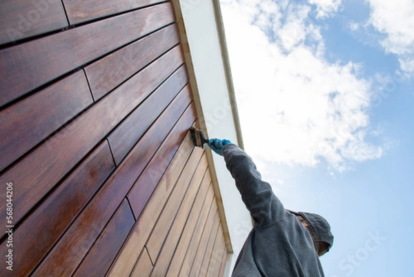 Fototapeta Restoration of hardwood facade siding, dramatic low angle view, woodworker applying pigment oil with brush