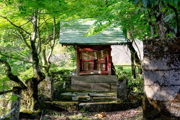 Obraz 木陰の中の祠