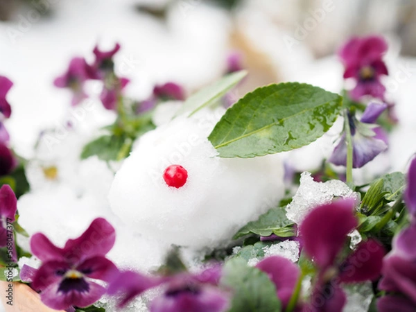 Fototapeta OLYMPUS DIGITAL CAMERA