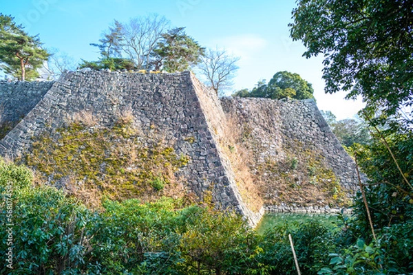 Obraz 日本一高い石垣