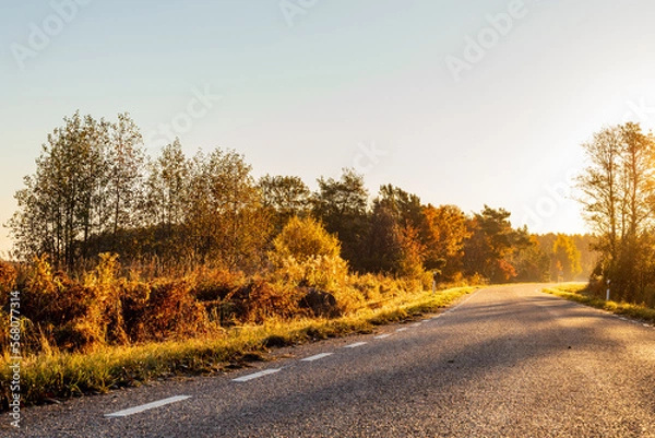 Obraz Early autumn morning on a small road. Foggy early morning on a country road. Beautiful fall sunrise. Golden morning at asphalt path. Golden fog morning with shadows on pavement