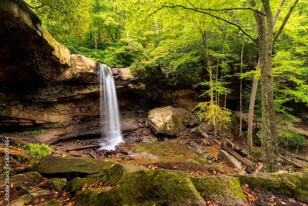Obraz waterfall in the forest