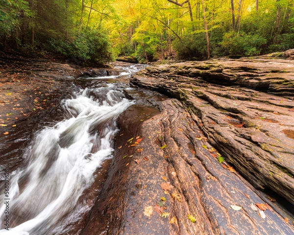 Obraz stream in the forest