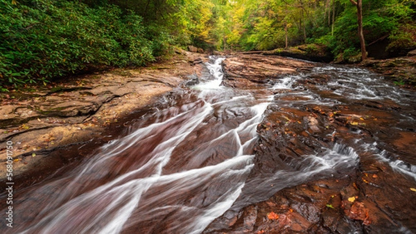 Obraz waterfall in the forest