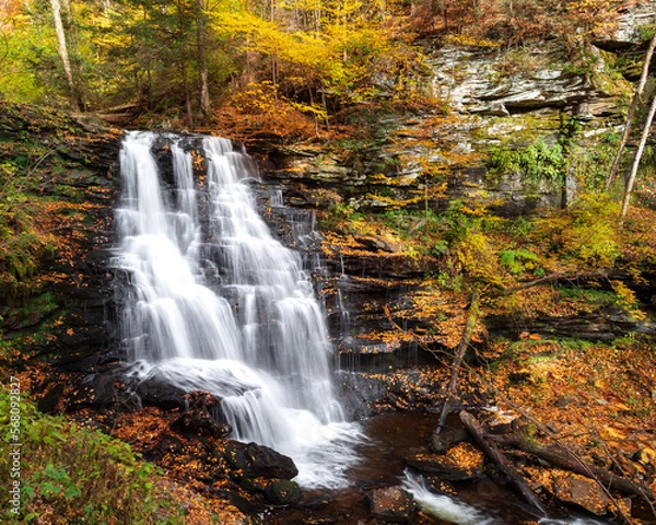 Obraz waterfall in autumn forest