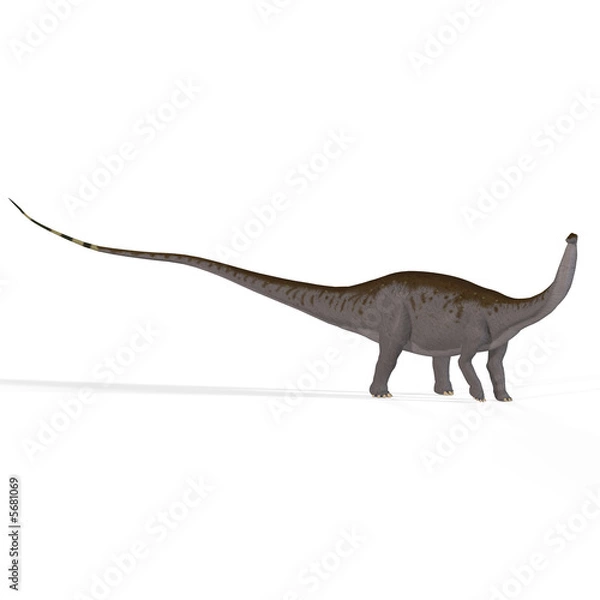 Fototapeta Brontosaurus with clipping path