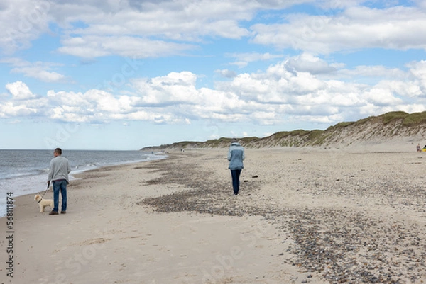 Obraz Waking on Sandy beach by Husby town. Populated place, Holstebro, Region Midtjylland, Denmark, Scandinavia, Europe