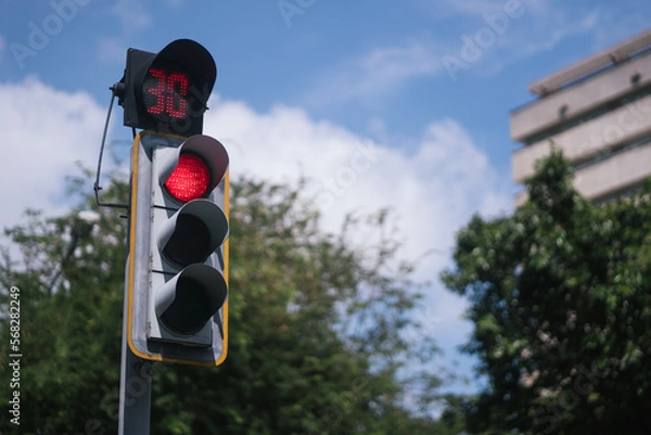 Obraz Traffic light with timer showing red light