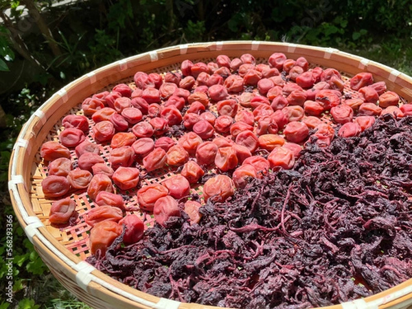 Fototapeta 手作りの梅干しと赤紫蘇