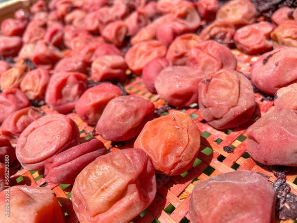 Obraz 手作りの梅干し