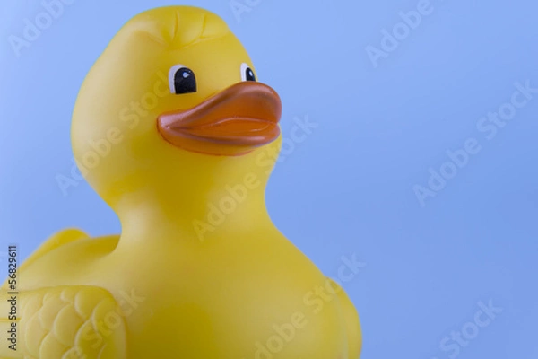 Fototapeta Rubber Duck