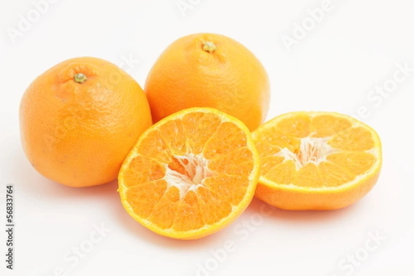 Obraz はるみみかん