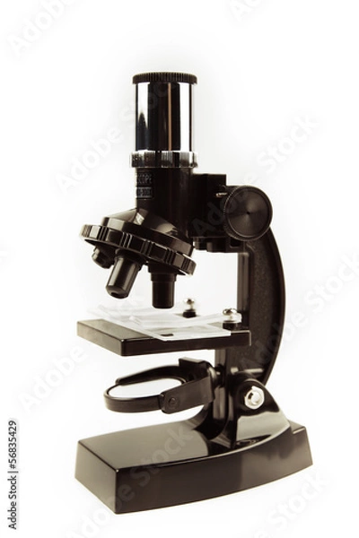 Fototapeta Microscope