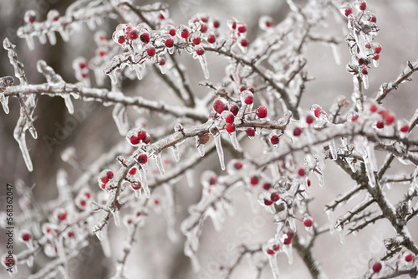 Obraz wonderful winter landscape