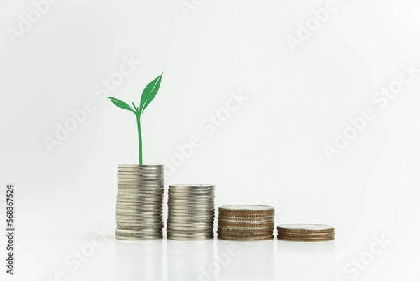 Fototapeta Plant growing on stack of coins, money saving concept, financial and business growth concept, white background, copy space.