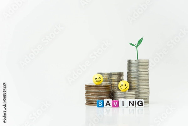 Fototapeta Plant growing on stack of coins, money saving concept, financial and business growth concept, white background, copy space.