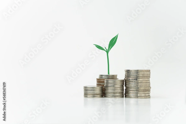 Fototapeta Plant growing on stack of coins, money saving concept, financial and business growth concept, white background, copy space.