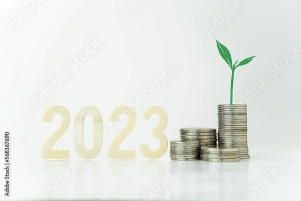 Fototapeta Plant growing on stack of coins, money saving concept, financial and business growth concept, white background, copy space.