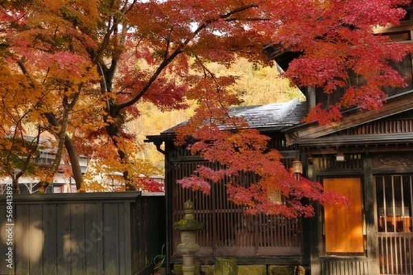 Fototapeta 《角館の紅葉》秋