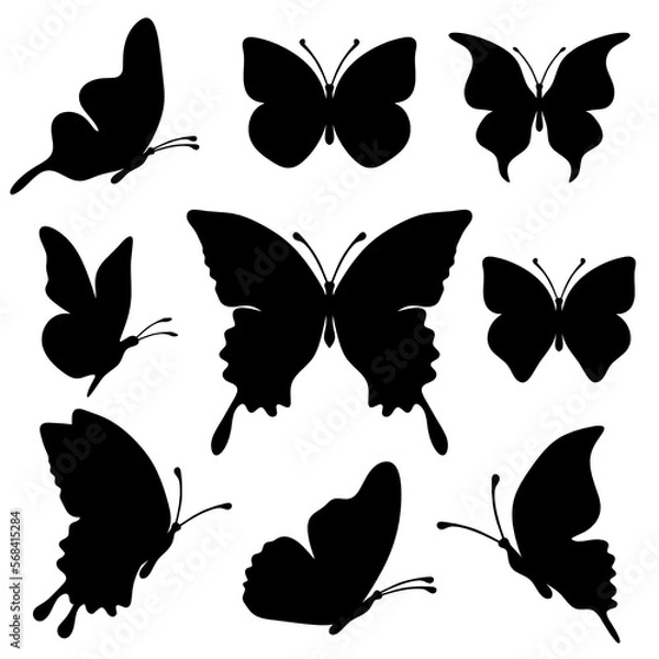 Fototapeta Set of silhouette black butterflies on white background. Vector