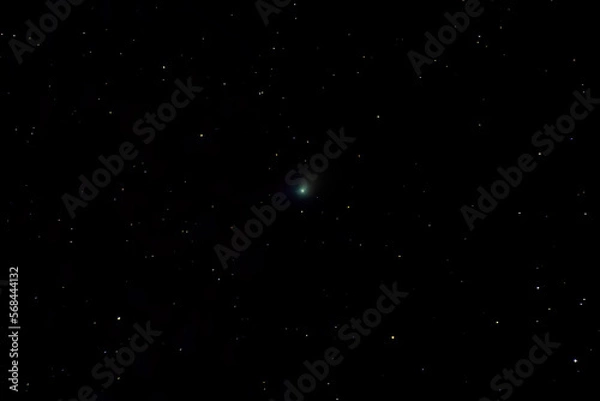 Fototapeta Comet C 2022/E3 (ZTF) in the night sky. Shot in one frame. January 21, 2023