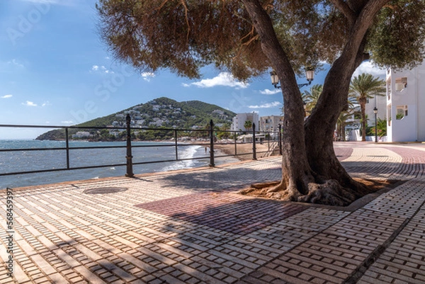 Obraz Santa Eulalia Beach Promenade