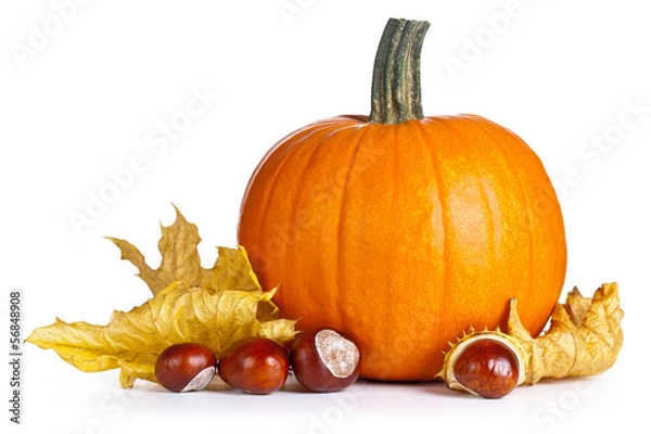 Fototapeta Pumpkin