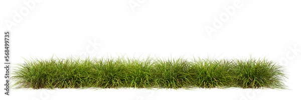 Obraz Meadow grass row prairie cutout transparent background 3d rendering png file