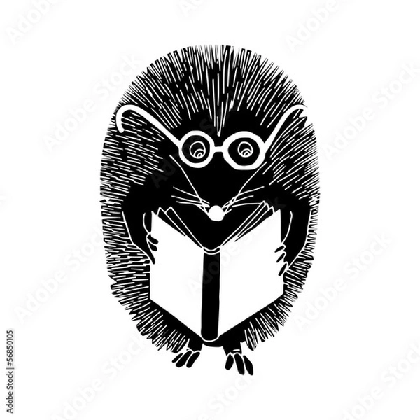 Obraz hedgehog reading