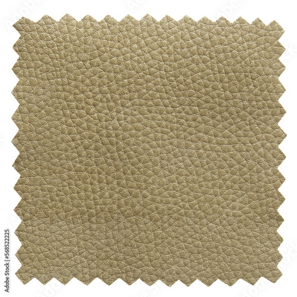 Obraz green leather samples texture isolated with clipping path for mockup
