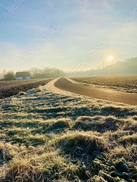 Obraz Road sundowner